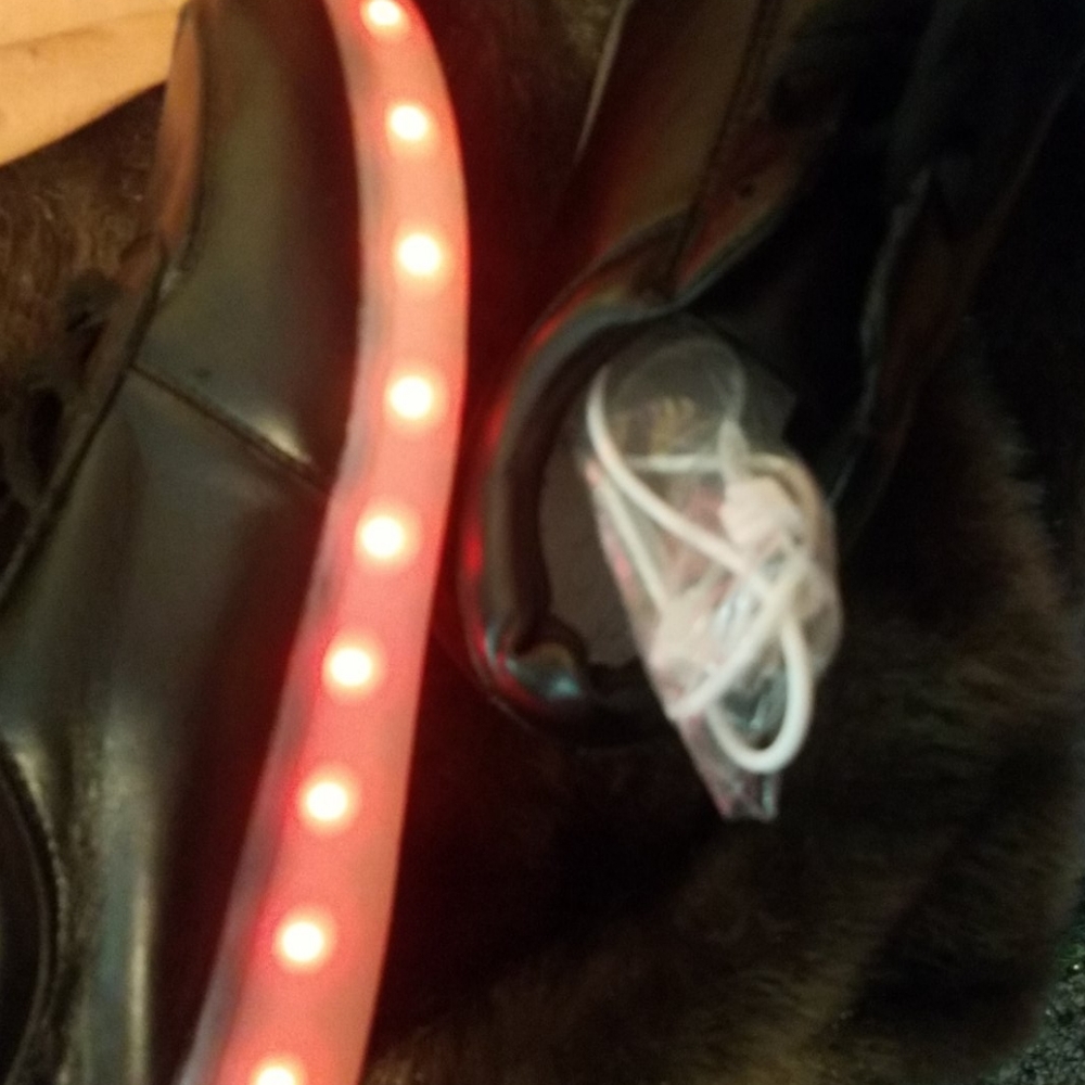 Light up shoes